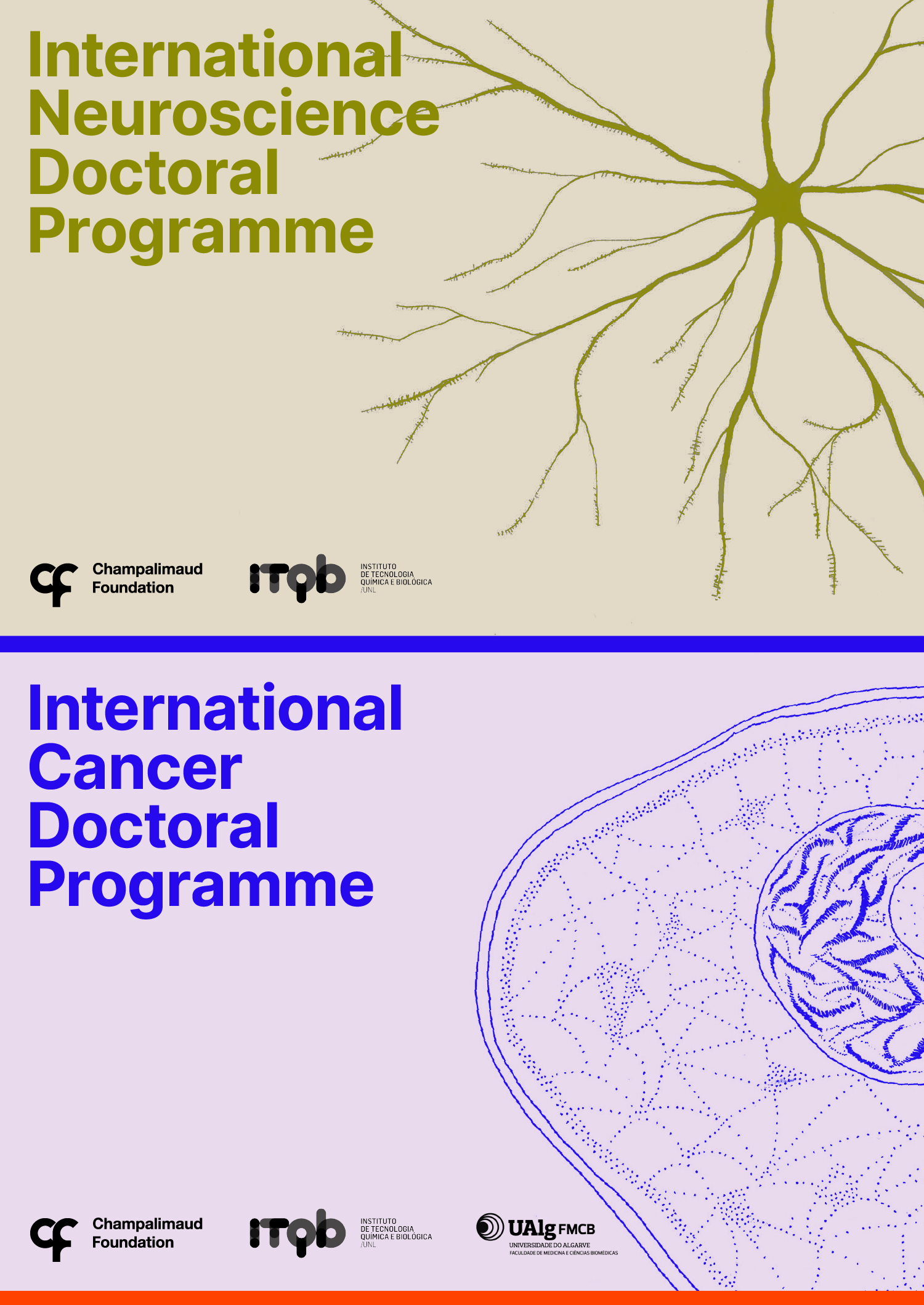 Champalimaud International PhD Programmes