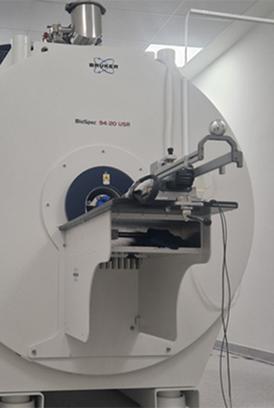 Experimental Magnetic Resonance Imaging (MRI) Platform