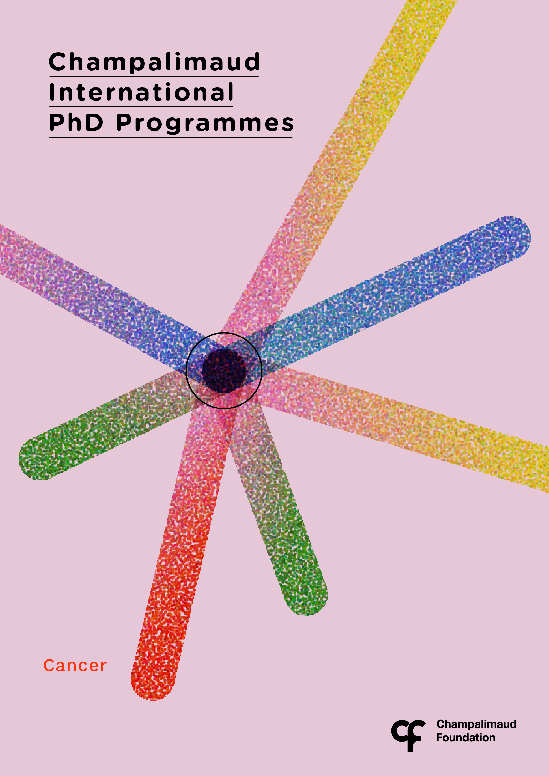 International PhDs in Cancer