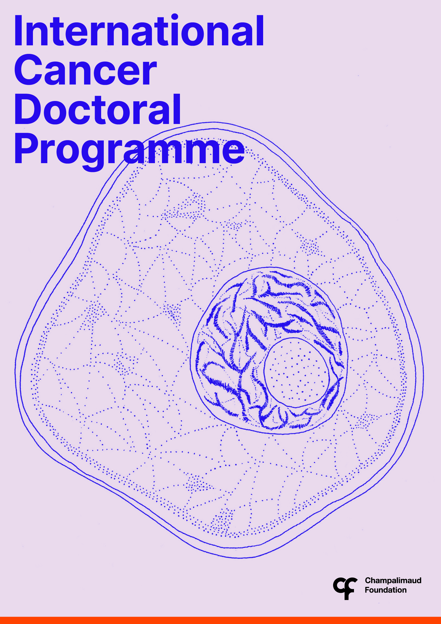 International PhDs in Cancer