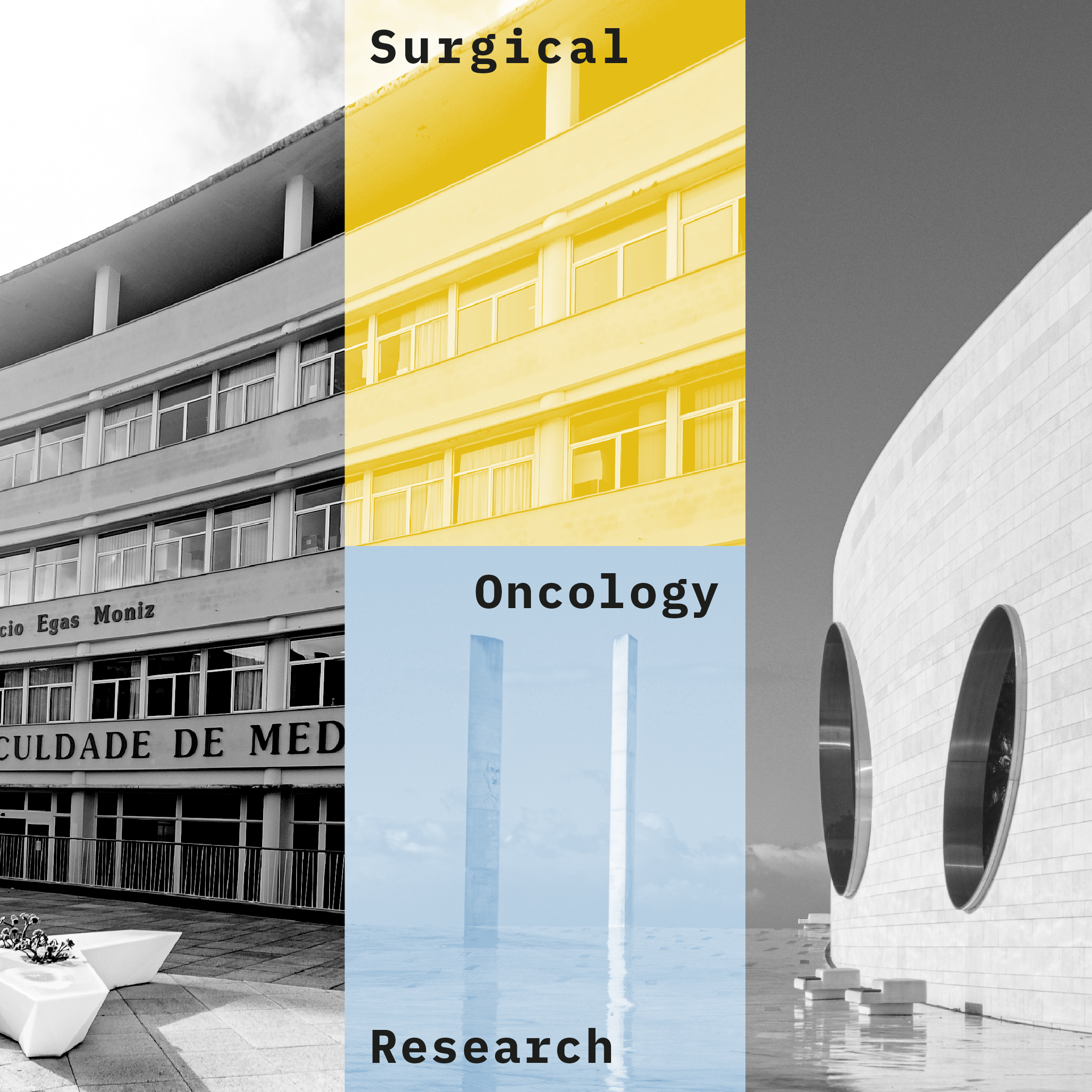 Informative Session of the New CAML PhD Programme in Surgical Oncology Research