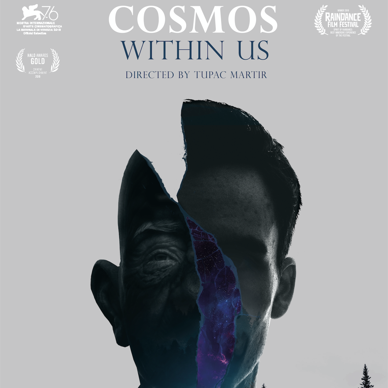 Cosmos Within Us