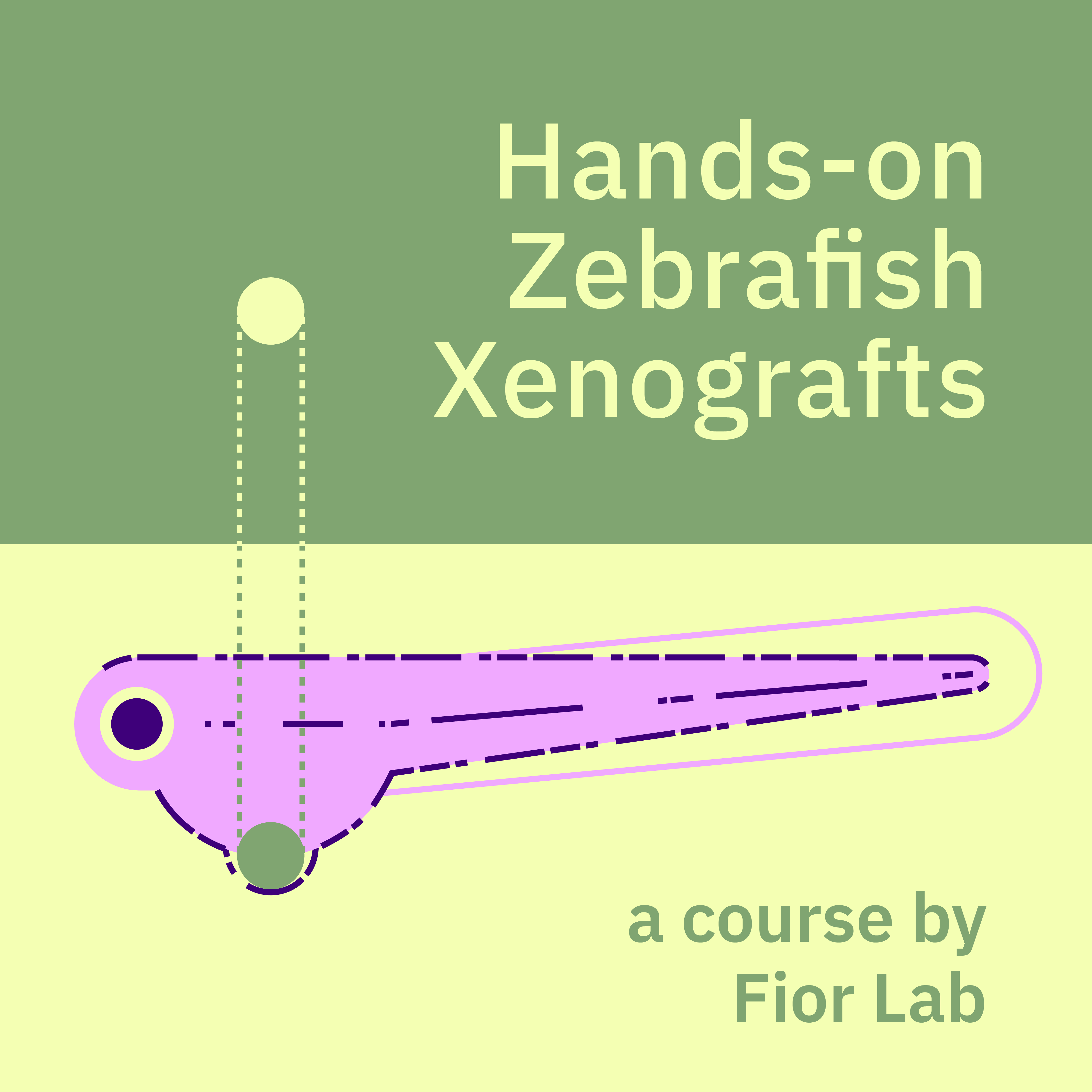 Hands-On Course on Zebrafish Xenografts 2027 - 6th Edition