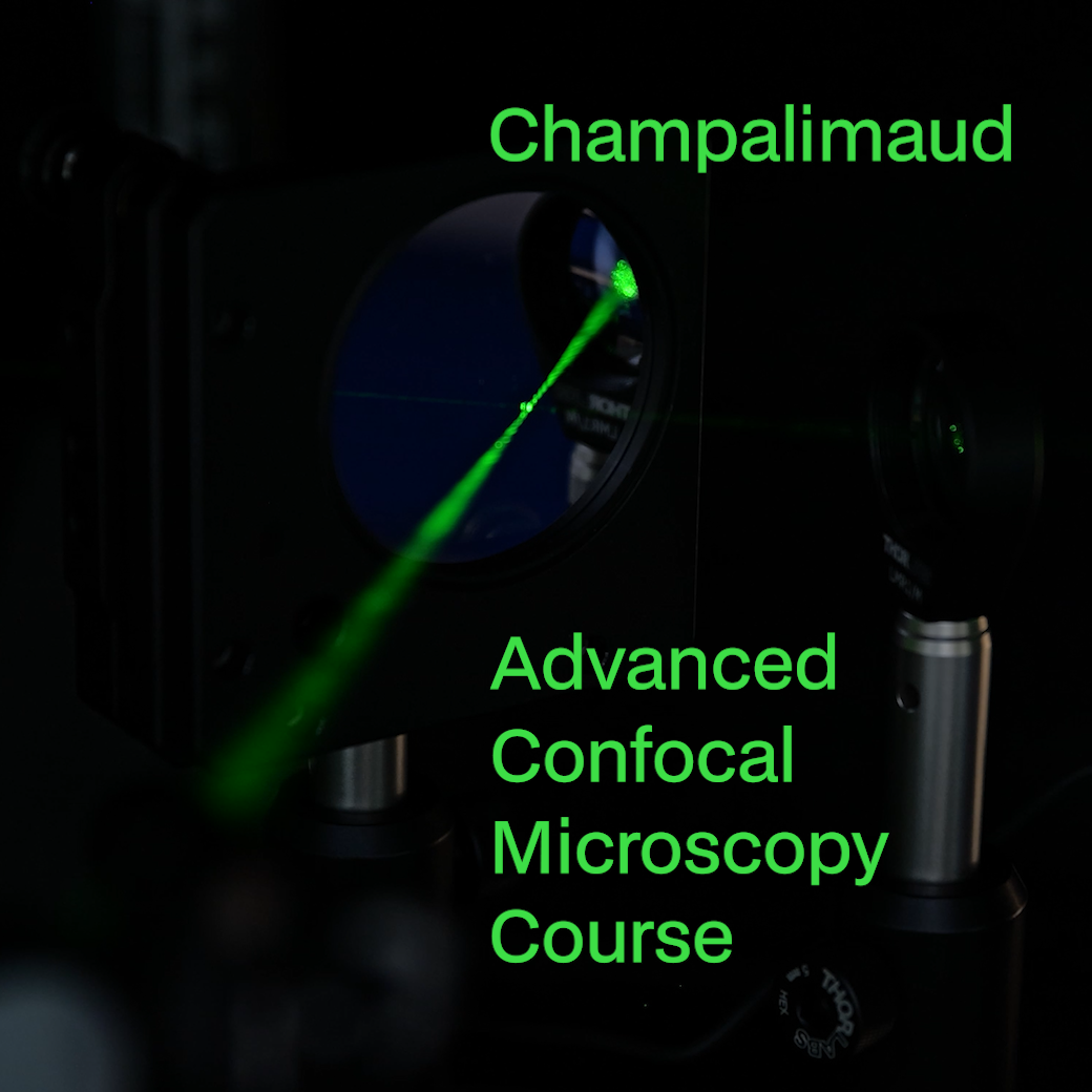 Champalimaud Advanced Confocal Microscopy Course 