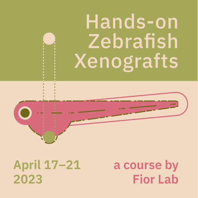 Hands-on course on Zebrafish Xenografts 2023 - 2nd edition