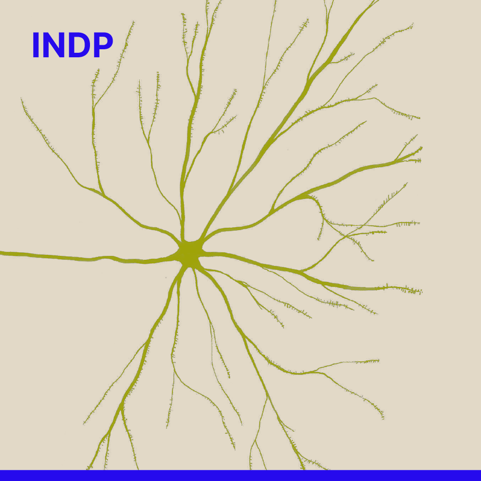 INDP