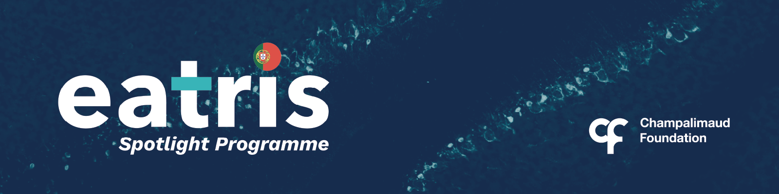 EATRIS Spotlight - Research Workshop 
