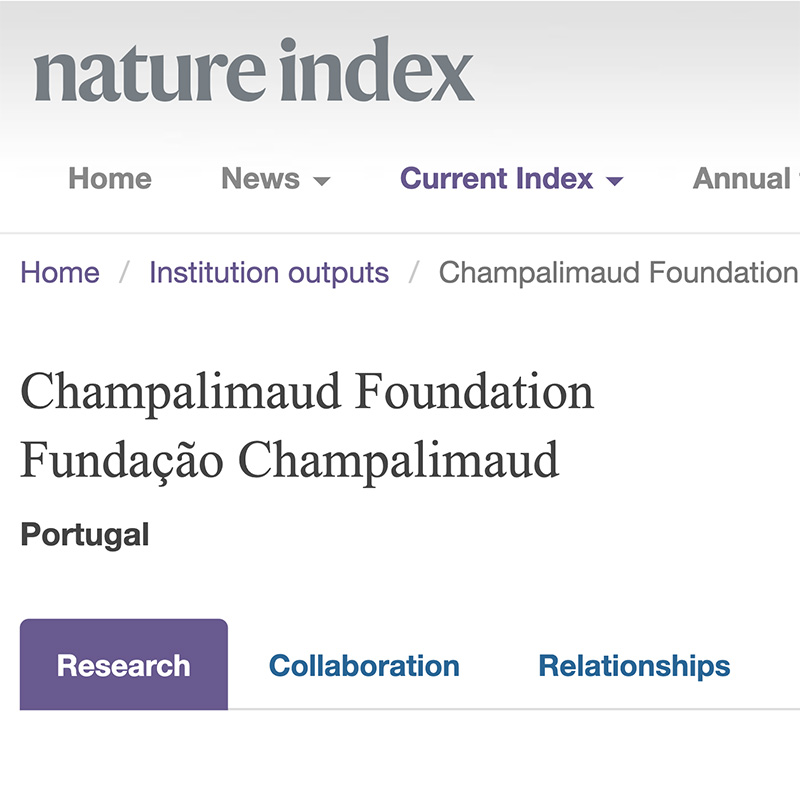 Fundação Champalimaud é a quarta melhor do mundo em inteligência artificial
