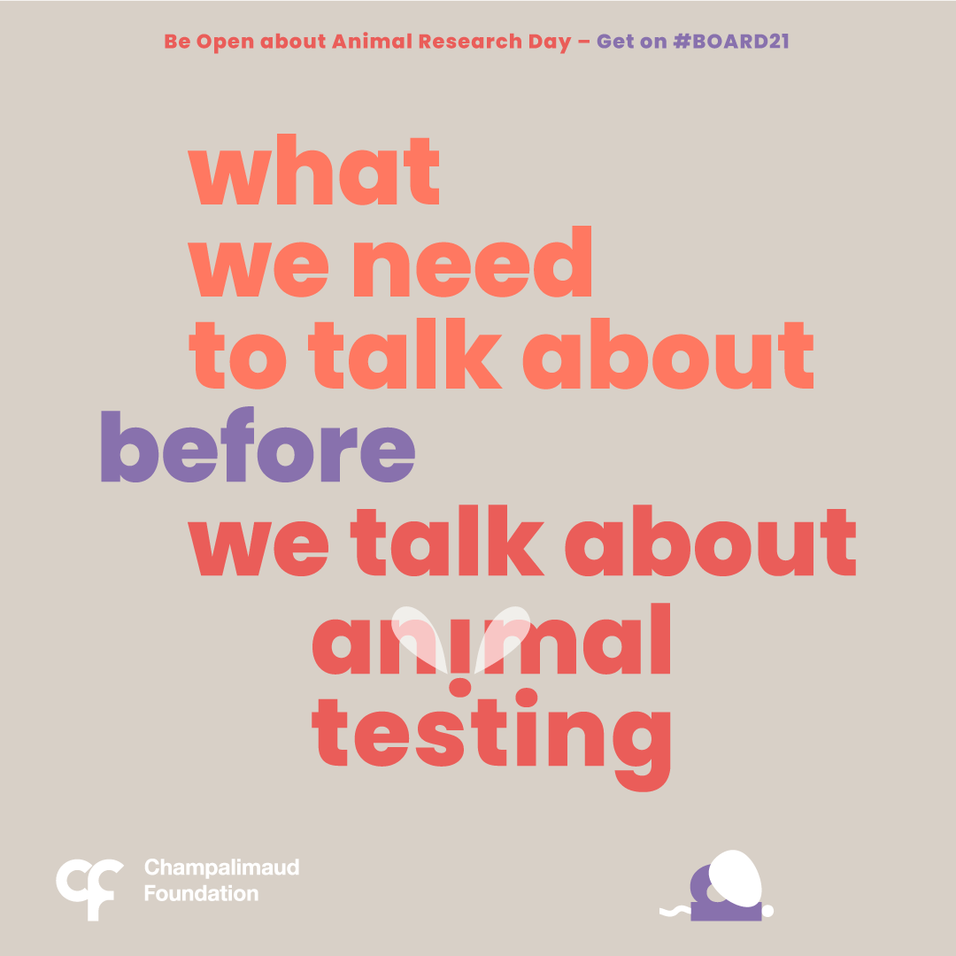 What We Need to Talk About Before We Talk About Animal Testing |  Champalimaud Foundation