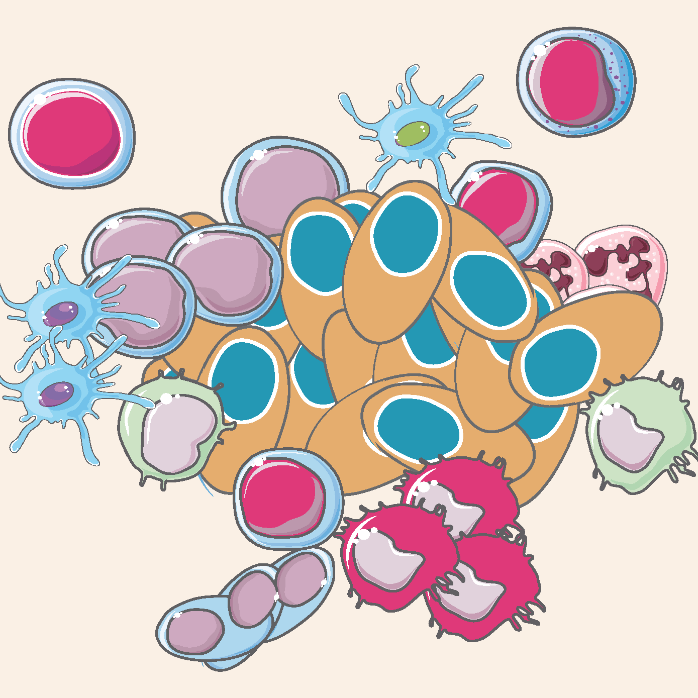Cientistas da Fundação Champalimaud descobriram como as células do mieloma múltiplo perturbam o sistema imunitário