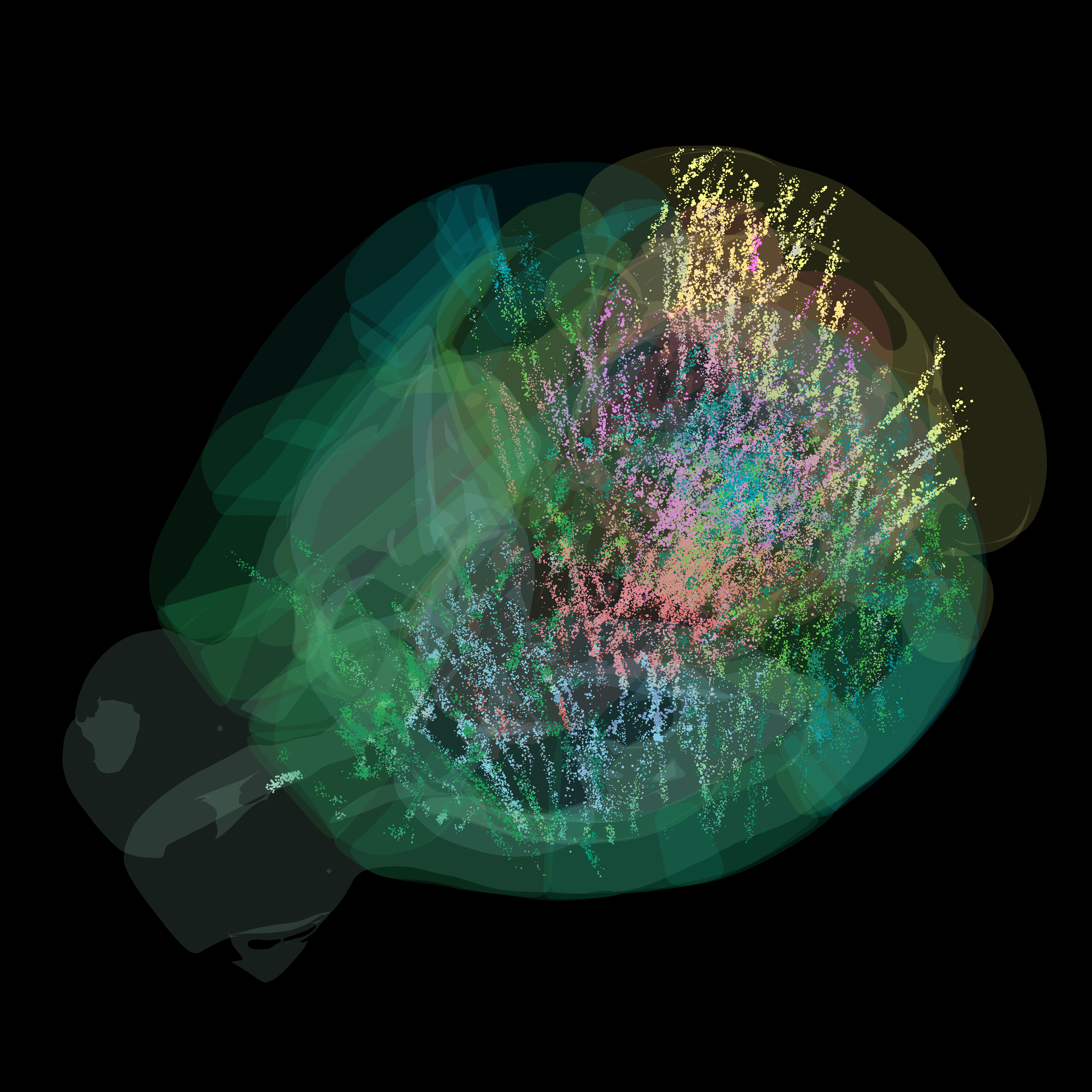 Brain-wide map showing 75,000 analysed neurons