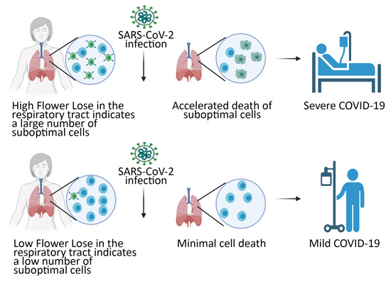 Biological marker predicts COVID-19 prognosis