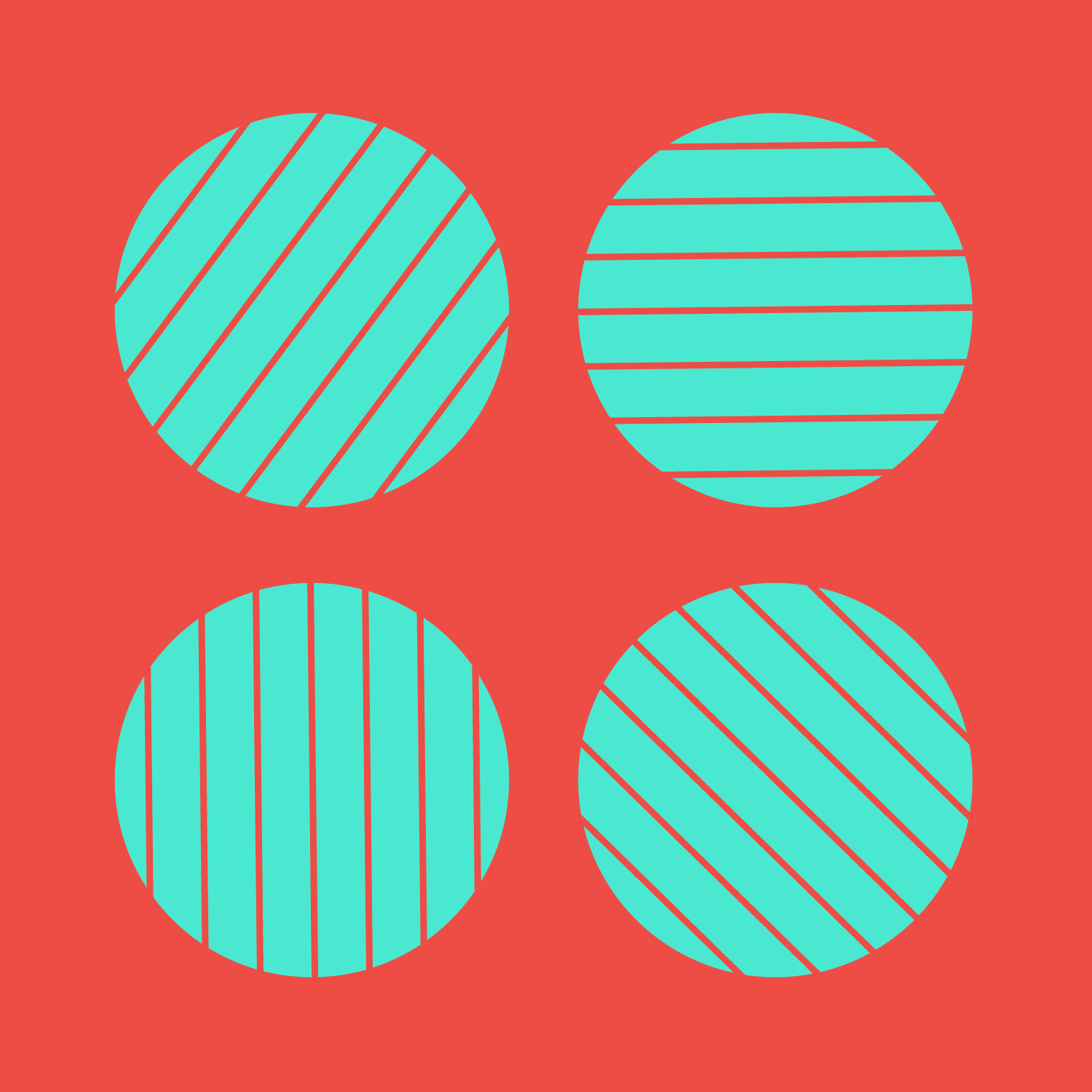 Different Visual Experiences Give Rise to Different Neural Wiring