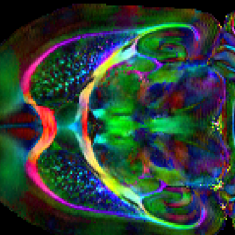 Experimental Magnetic Resonance Imaging (MRI) Platform